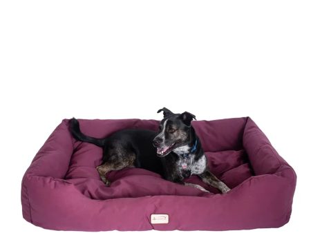 Armarkat Bolstered Dog Bed, Burgundy,In M L XL 3 Sizes Online Sale