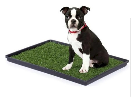 Mr. Peanut s Potty Place - Artificial Grass Puppy Pad for Dogs and Small Pets Discount