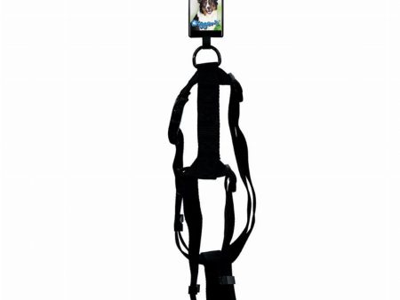 DGR 1in Adjustable Harness Black For Cheap