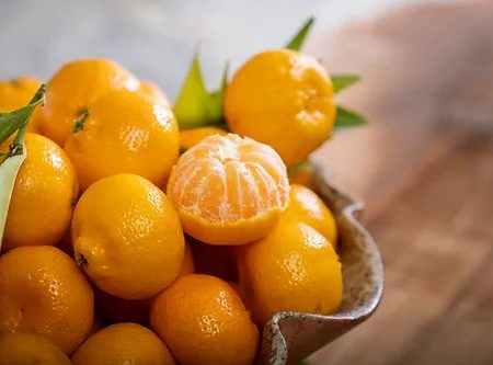 Organic Kishu Mandarins Supply