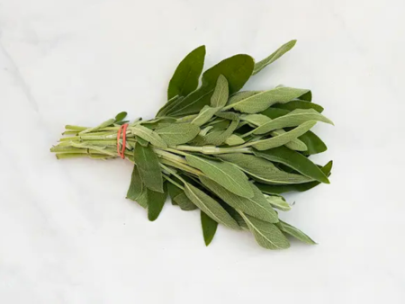 Thanksgiving Sage (Add-On) Hot on Sale