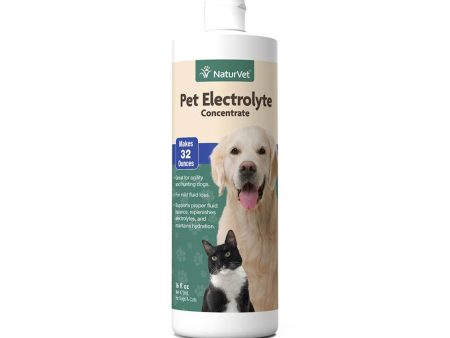 Pet Electrolyte Concentrate for Dogs & Cats Fashion