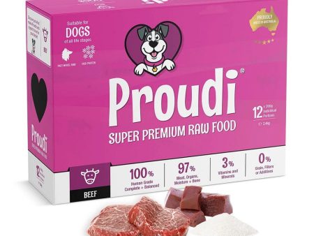 Frozen Single Protein Beef Raw Dog Food Fashion