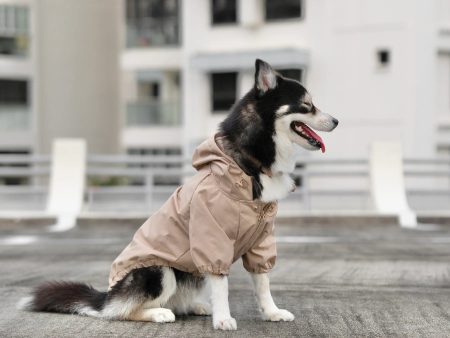 Brooklyn Dog Raincoat Sale