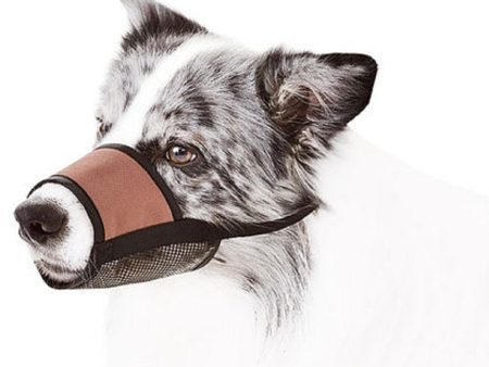 Muzzle for Dogs Fashion