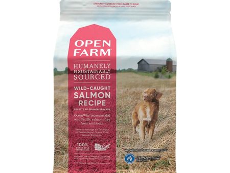 Wild-Caught Salmon Dog Dry Food Online Sale