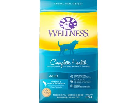 Complete Health Whitefish & Sweet Potato Adult Dog Dry Food Hot on Sale