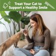 Chicken & Salmon Cat Dental Treat Online Sale