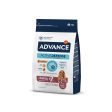 Active Defense - Chicken & Rice Regular Bites for Medium Senior Dog Dry Food For Discount