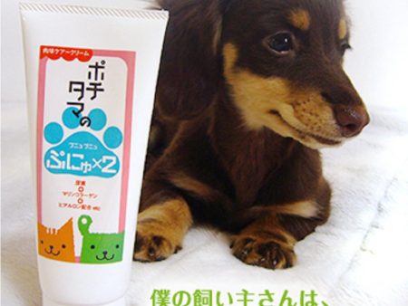 Paws Balm for Dogs & Cats Online