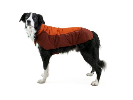 Vert Dog Jacket on Sale