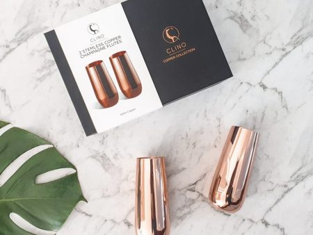 Copper Stemless Champagne Flutes Sale