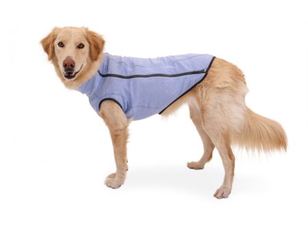 Hemp Hound Dog Sweater Fashion