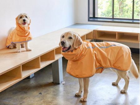 Apple Mango Rain Coat Hot on Sale