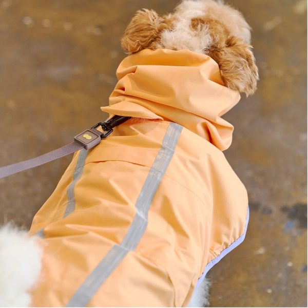 Apple Mango Rain Coat Hot on Sale