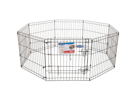 Exercise Pen Online now