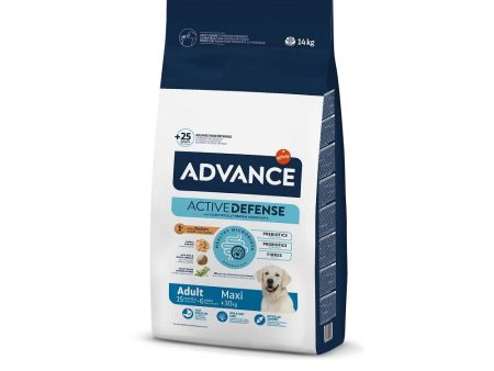 Active Defense - Chicken & Rice for Large Adult Dog Dry Food Fashion