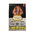 Adult Chicken Dog Dry Food on Sale