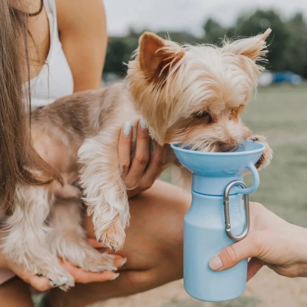 Classic Dog Travel Water Bottle Online