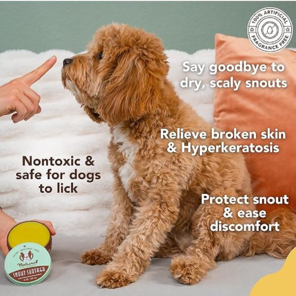 Healing Balm - Snout Soother for Dogs Online Hot Sale