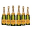 Campo Viejo Cava Brut Reserva 750mL (case of 6) For Sale