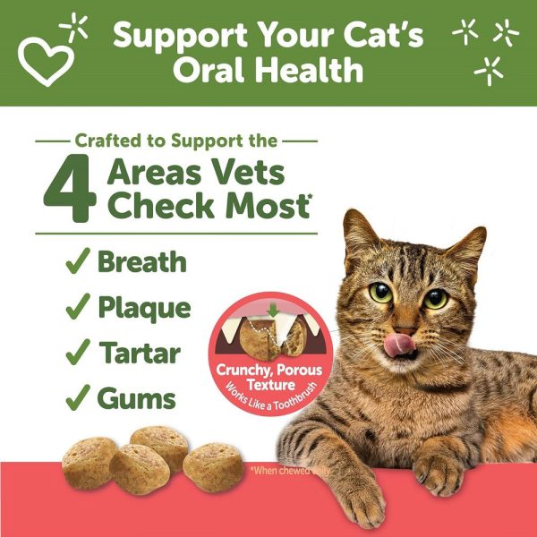 Chicken & Salmon Cat Dental Treat Online Sale