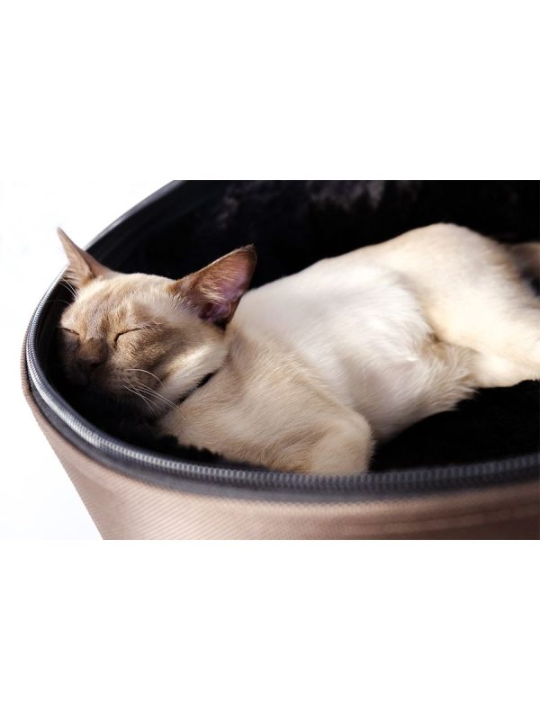 Mobile Pet Bed on Sale