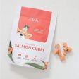 Freeze Dried Salmon Cube Treats for Dogs and Cats Supply