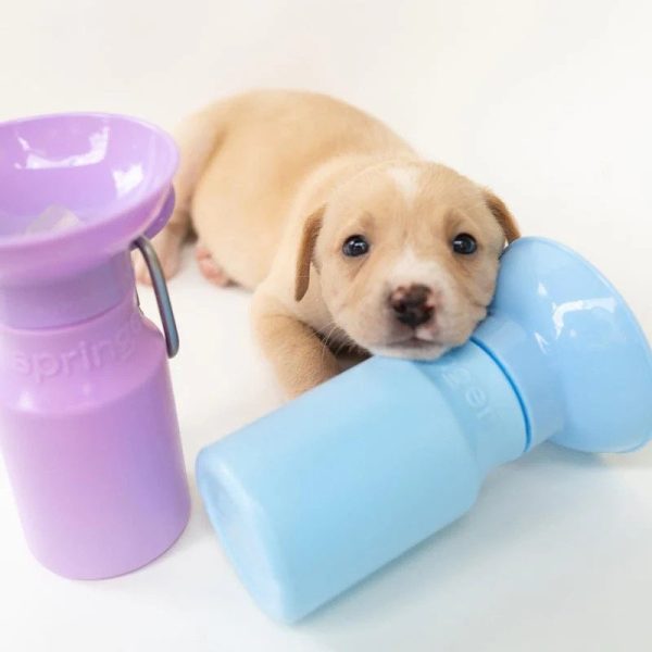 Classic Dog Travel Water Bottle Online