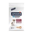 Active Defense - Chicken & Rice Mini Bites for Senior Dog Dry Food Fashion