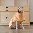 Apple Mango Rain Coat Hot on Sale