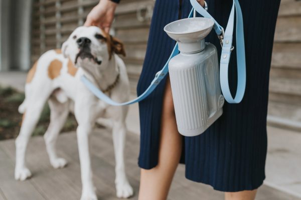 Classic Dog Travel Water Bottle Online